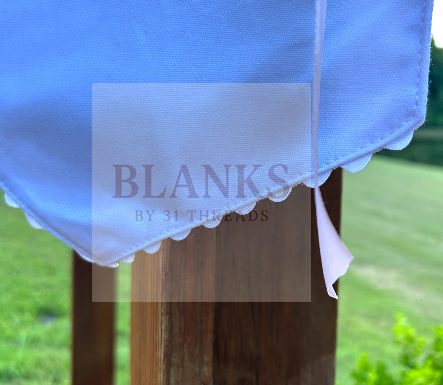 Banner with Blue Trim