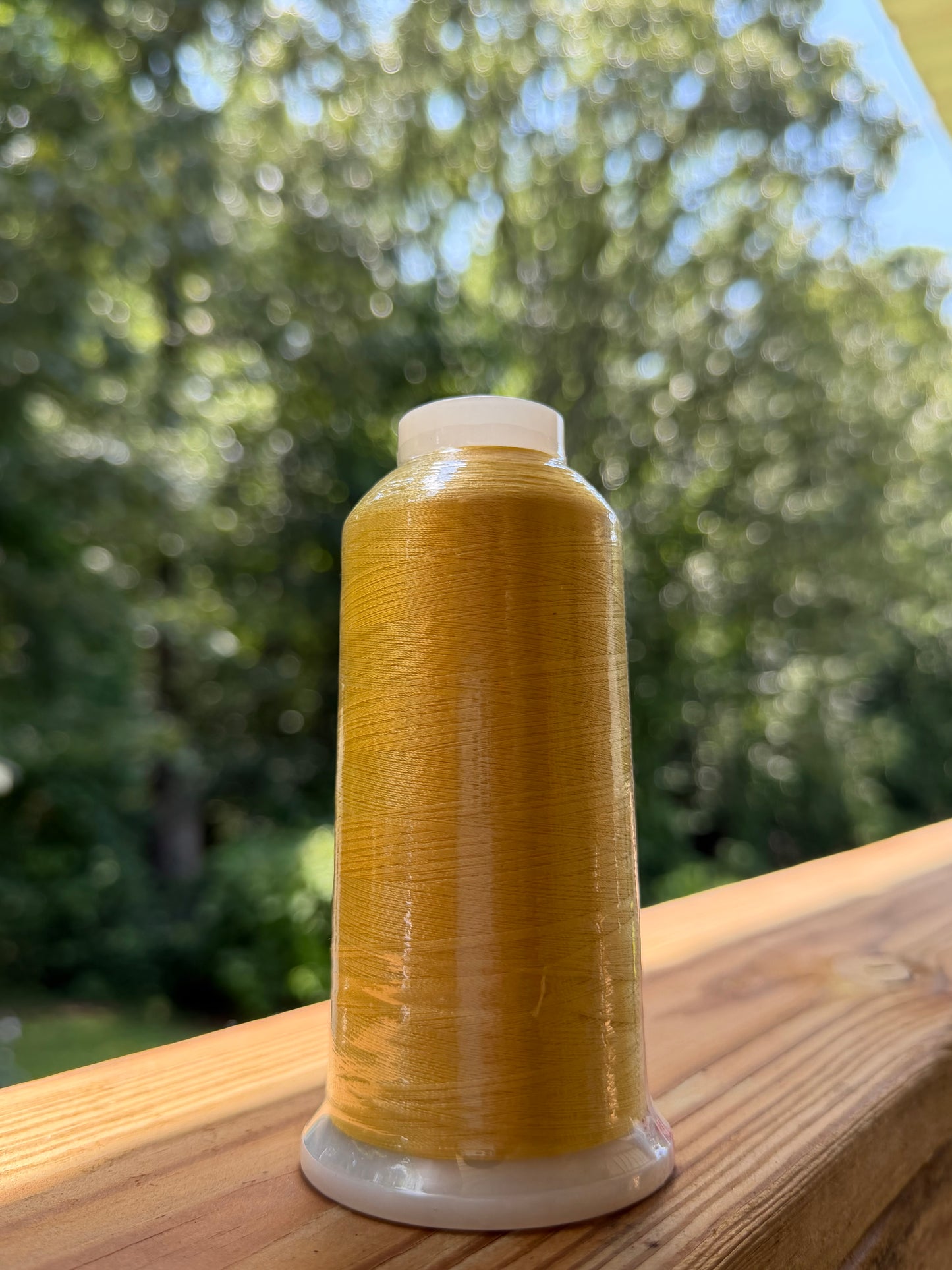 BB31T Thread