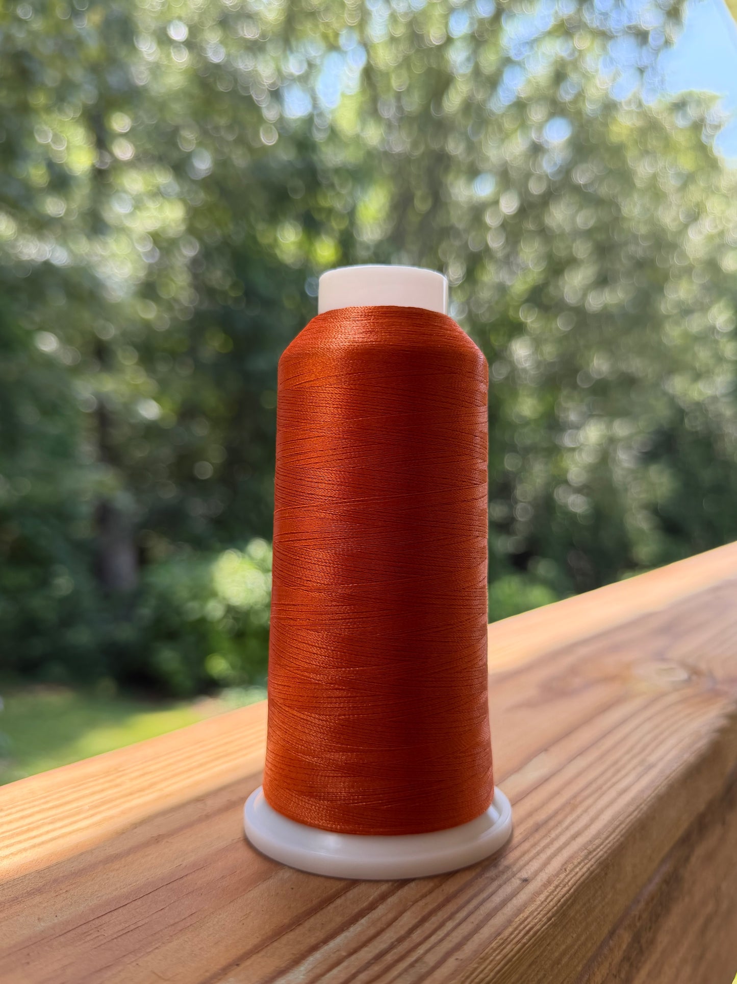 BB31T Thread